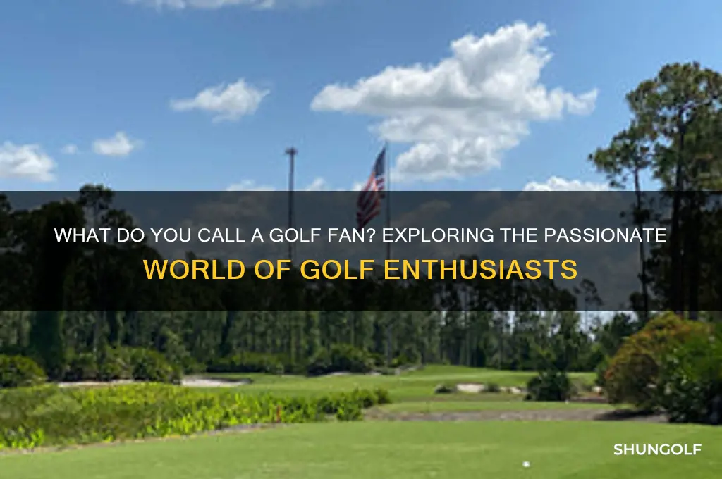 what do you call a golf fan