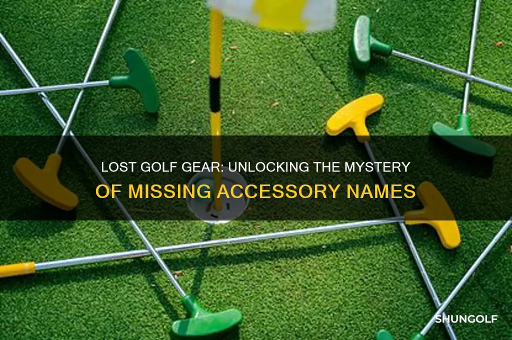 what do you call a missing golf accessory answer key