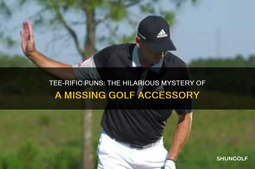 what do you call a missing golf accessory joke