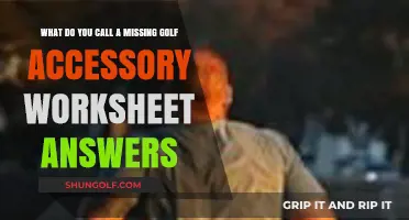 Missing Golf Accessory Worksheet Answers: What’s the Correct Term?