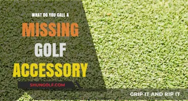 Lost on the Green: Naming the Missing Golf Accessory Mystery
