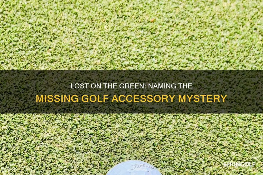 what do you call a missing golf accessory