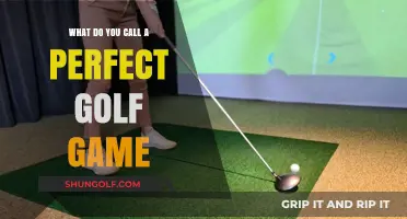 Mastering the Greens: Defining the Ideal Golf Game