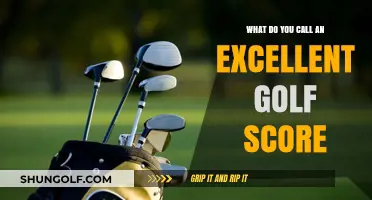 Mastering the Fairways: Unveiling the Perfect Golf Score Terminology