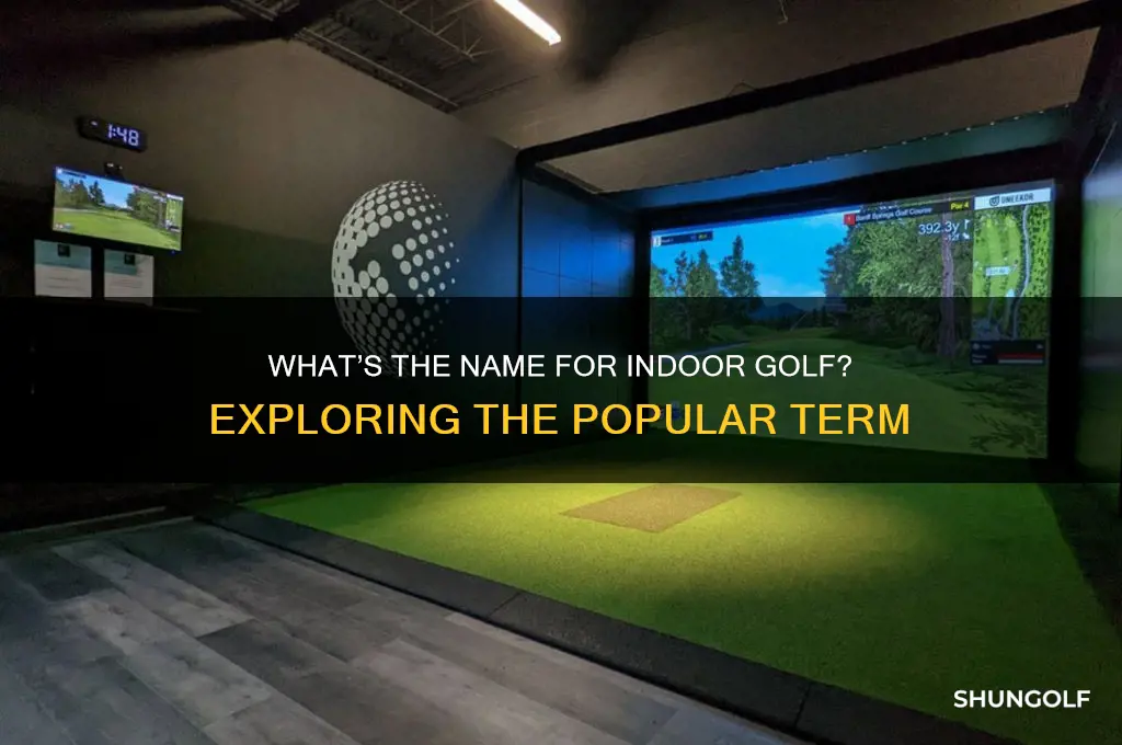 what do you call indoor golf