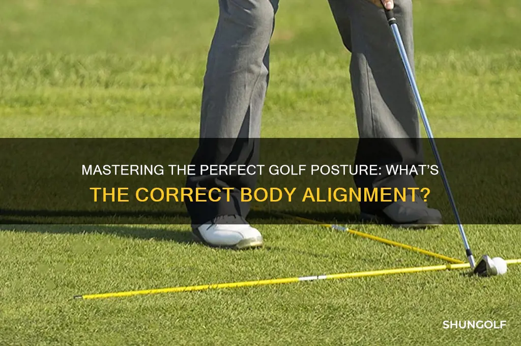 what do you call the correct body posture for golf