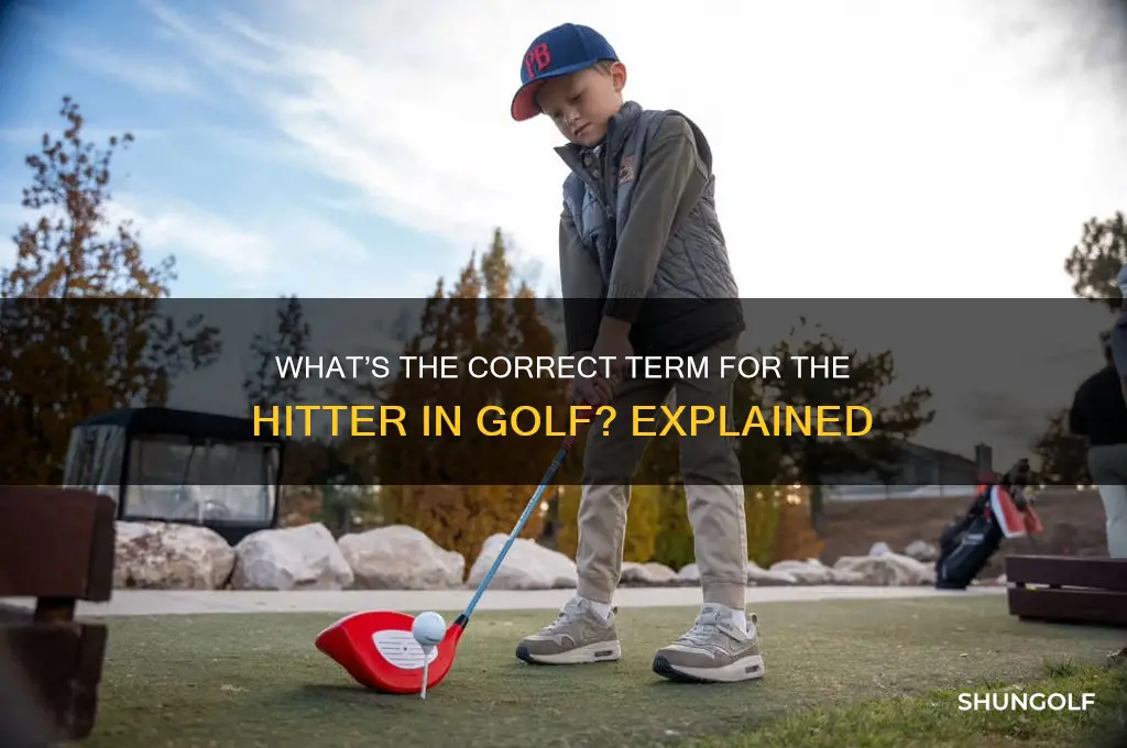 what do you call the hitter in golf