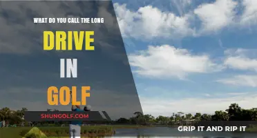 Tee to Green: The Ultimate Guide to Golf's Longest Drive