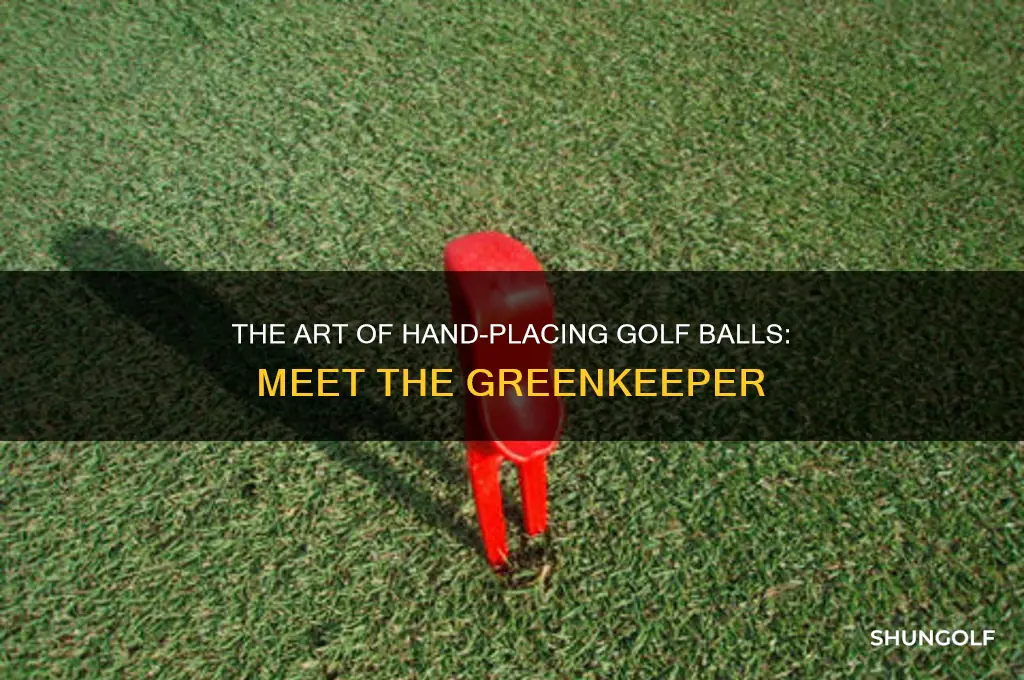 what do you call the person who hand put golf
