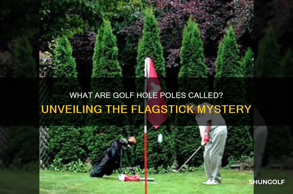 what do you call the poles in the golf holes
