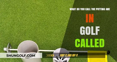 Understanding the Golf Putting Area: What’s It Called and Why It Matters