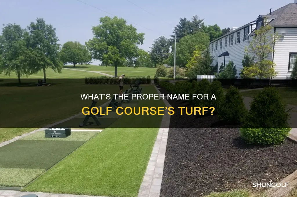 what do you call the turf of a golf course