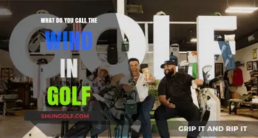Understanding Golf's Wind Terminology: What Do You Call It?