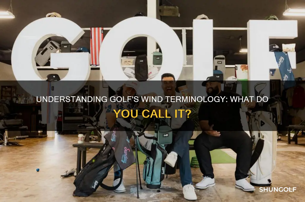 what do you call the wind in golf