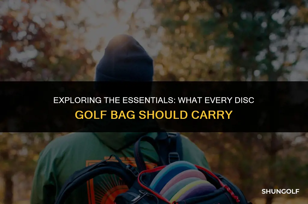 what do you carry in your disc golf bag