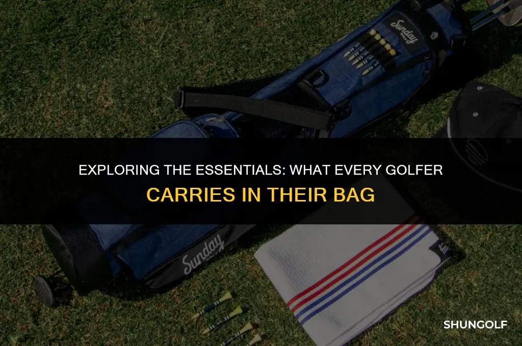 what do you carry in your golf bag