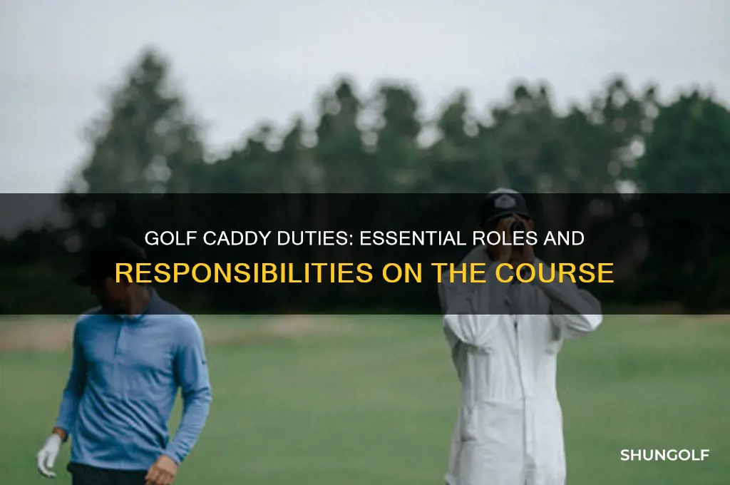 what do you do as a golf caddy