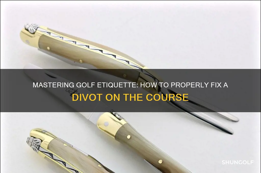 what do you do with a divot in golf