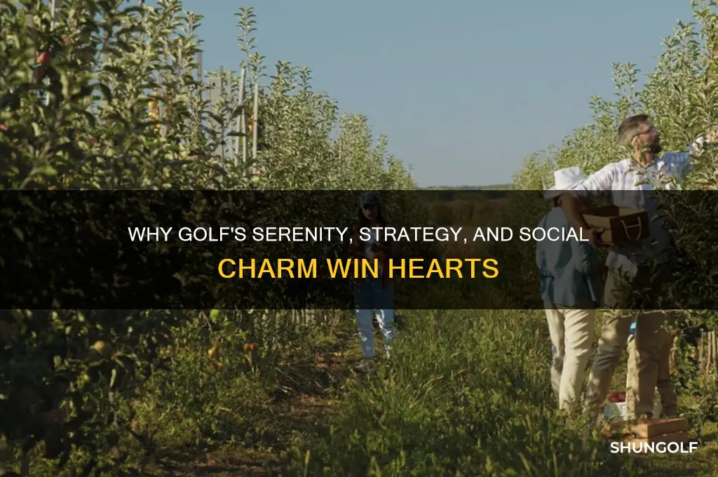 what do you like most about golf