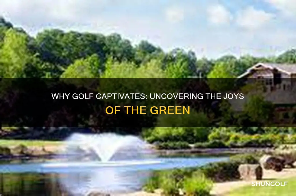 what do you love most about the game of golf