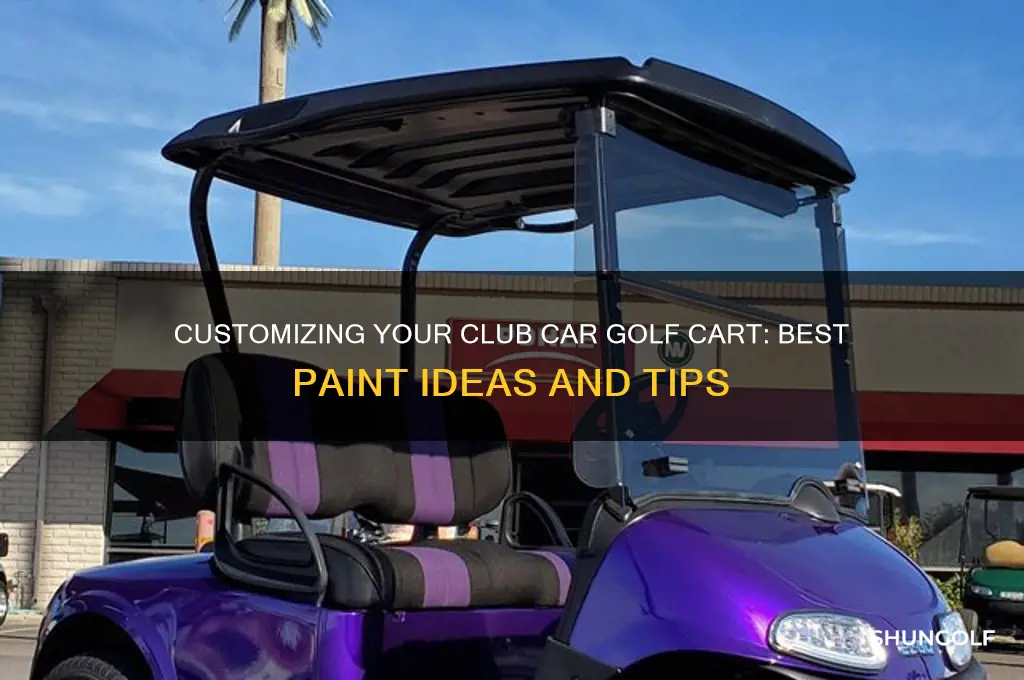 what do you paint a club car golf cart