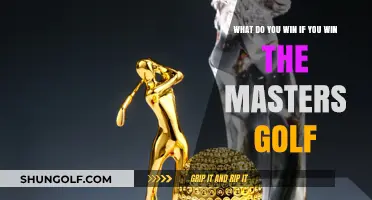Mastering the Masters: Unveiling the Prestigious Prizes for Champions