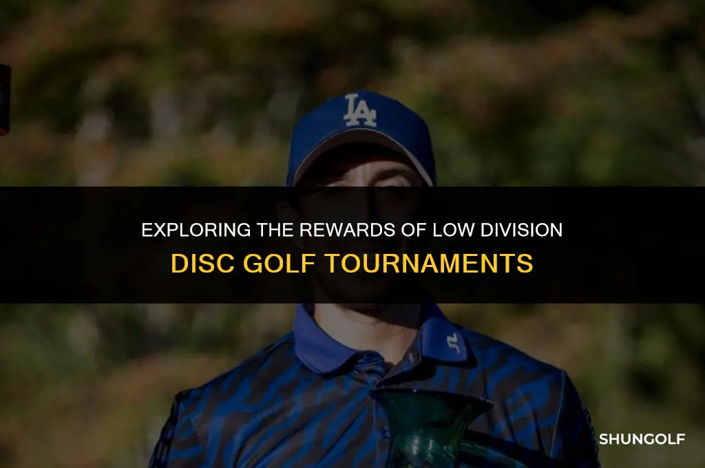 what do you win in low divisions disc golf