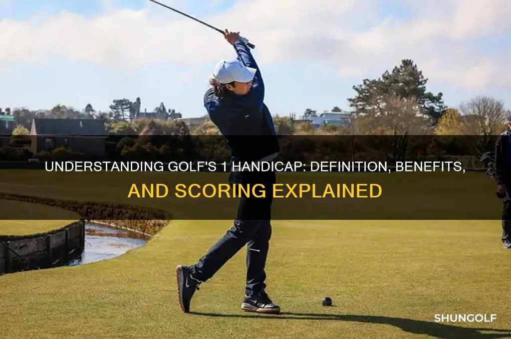 what does 1 handicap mean in golf