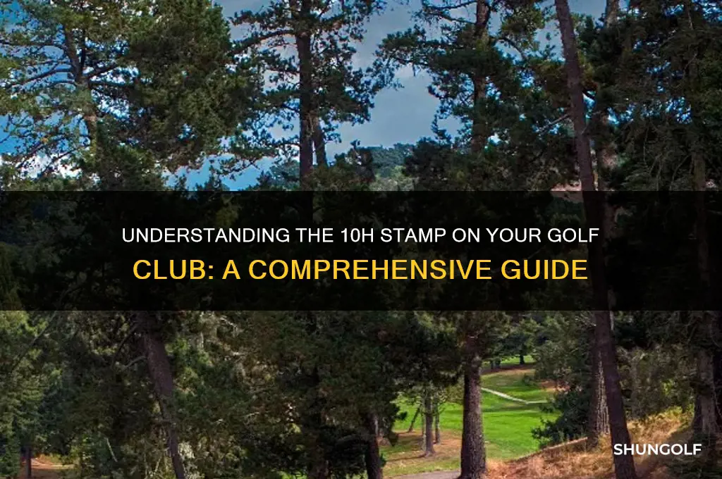 what does 10h mean on the golf club