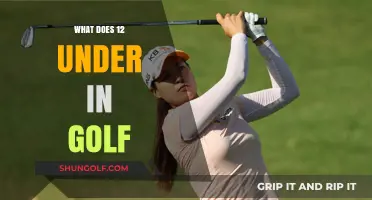Understanding Golf's 12 Under Par: A Comprehensive Guide to Scoring