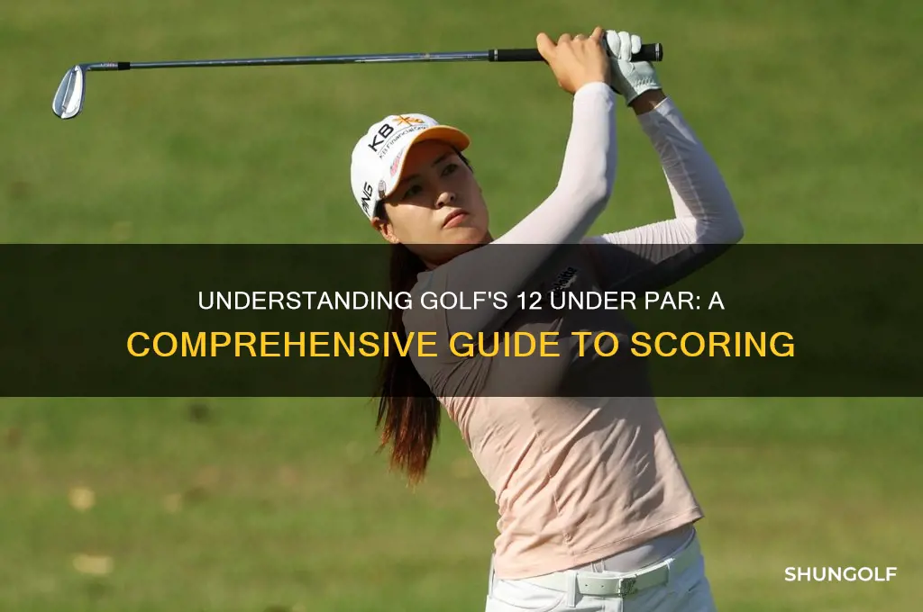 what does 12 under in golf