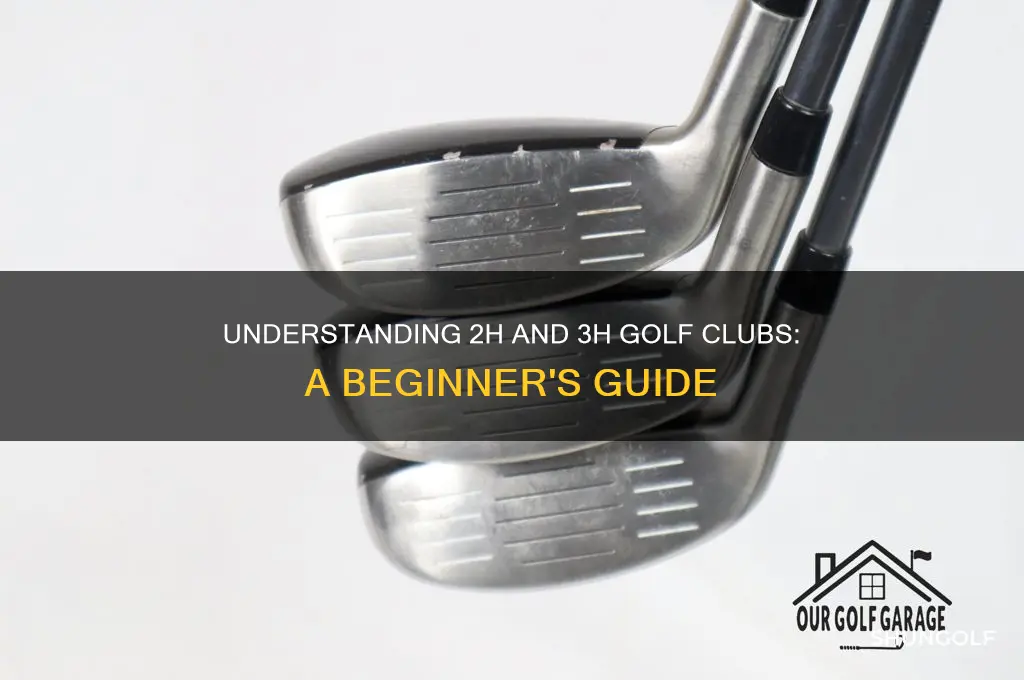 what does 2h 3h mean in golf clubs