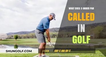 Understanding Golf's Scoring: What's the Term for 3 Under Par?