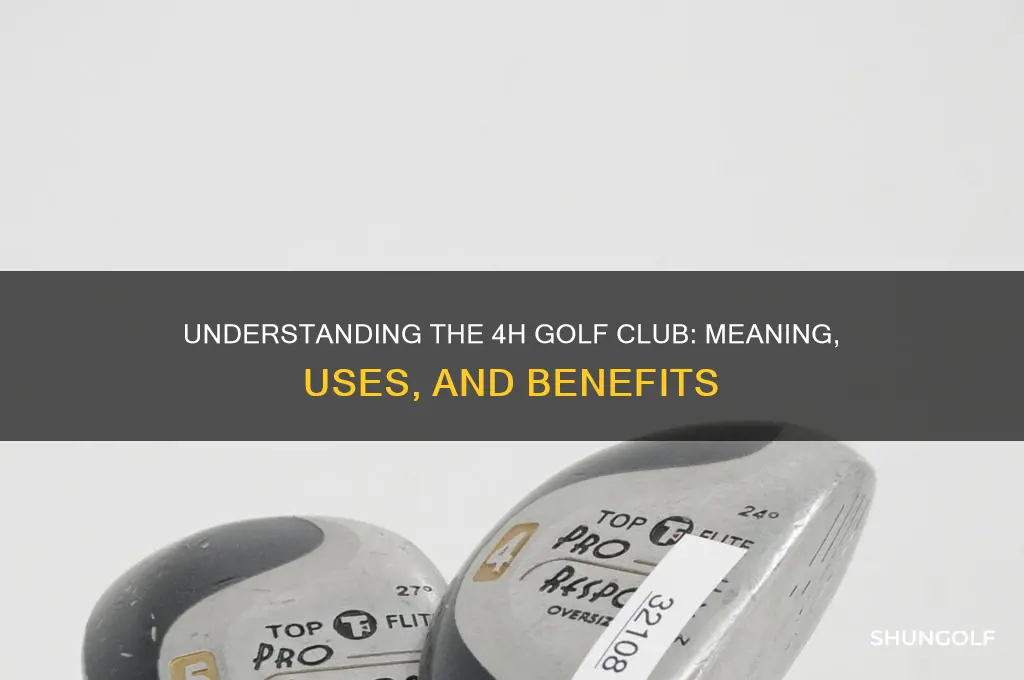 what does 4 h mean on a golf club