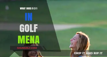 Understanding the 5 3 1 Golf Scoring System: A Comprehensive Guide