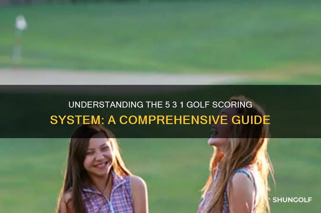 what does 5 3 1 in golf mena