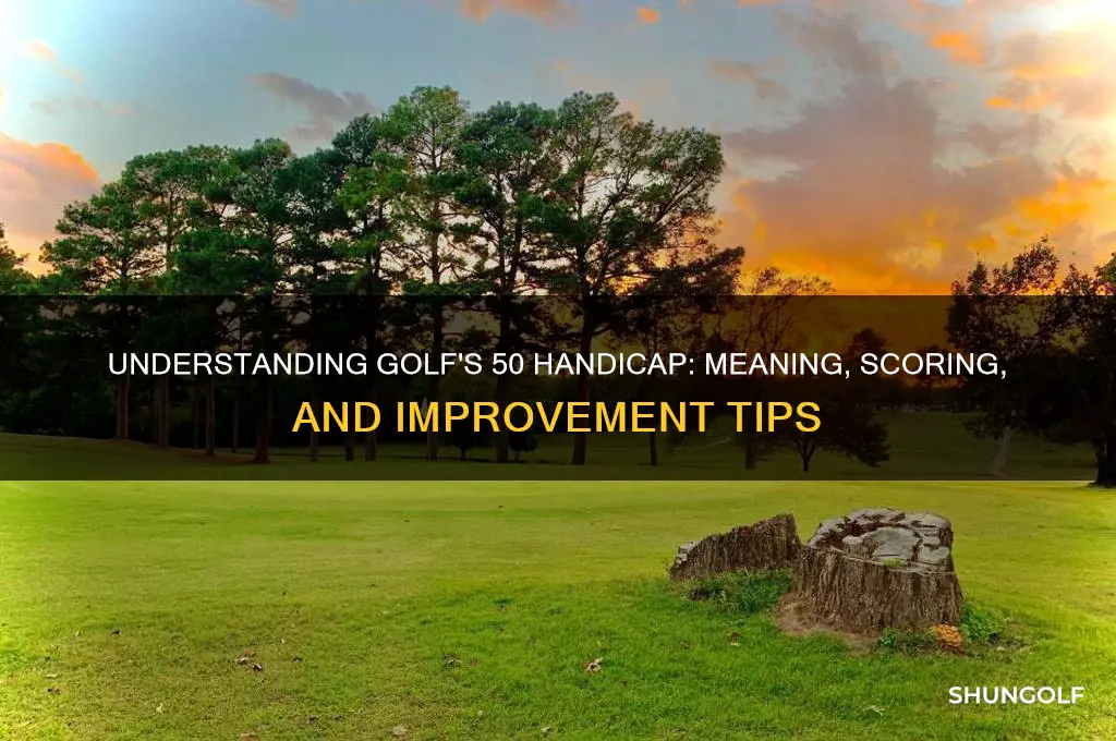 what does 50 handicap mean in golf
