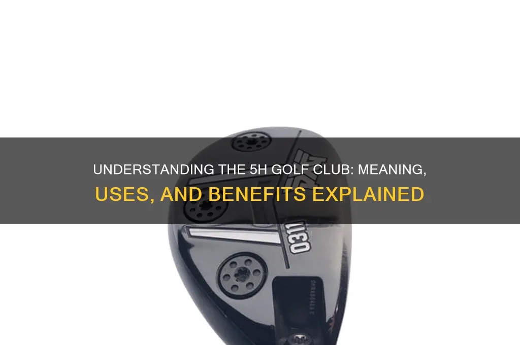 what does 5h mean on a golf club