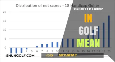 Understanding a 13 Handicap in Golf: Skill Level Explained