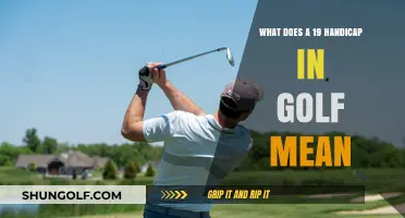 Understanding a 19 Handicap in Golf: Skill Level Explained