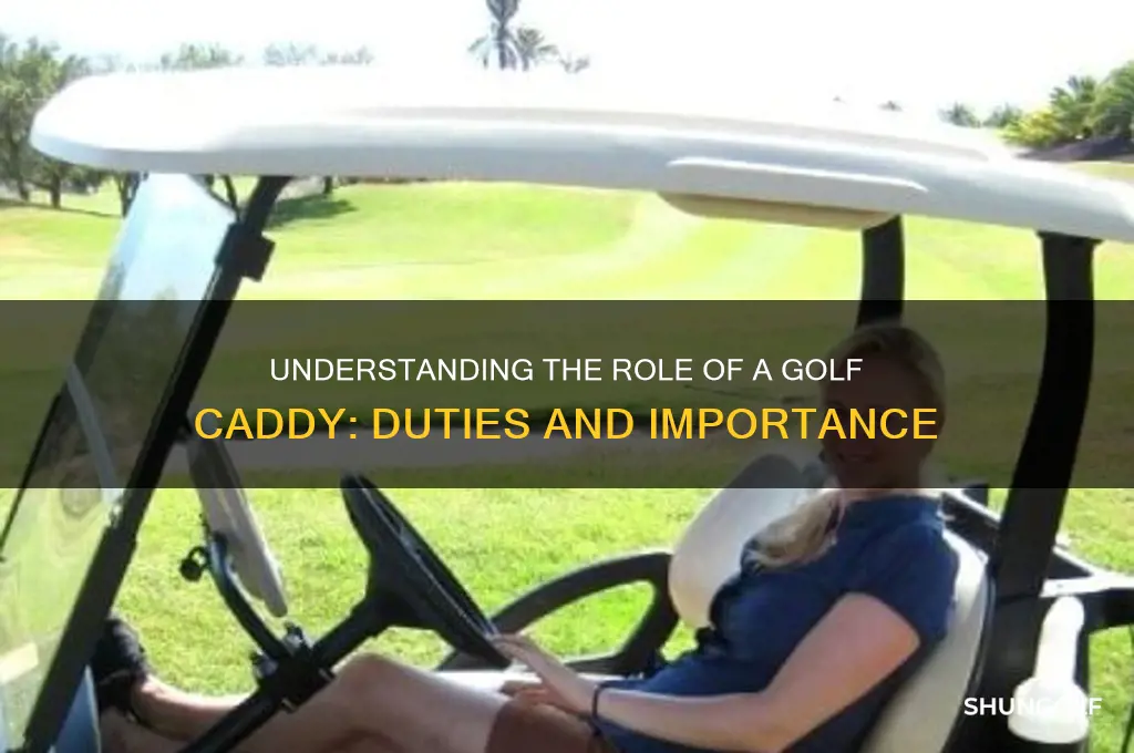 what does a caddy do in golf
