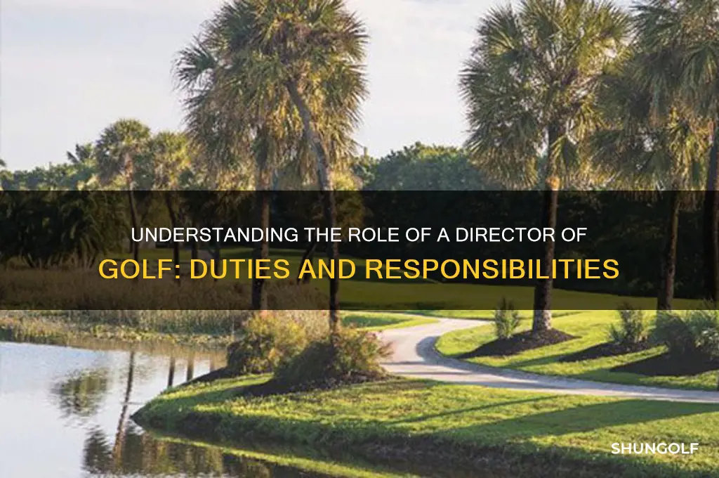 what does a director of golf do