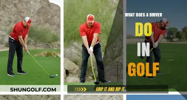 Mastering the Tee: A Beginner's Guide to Golf Driving