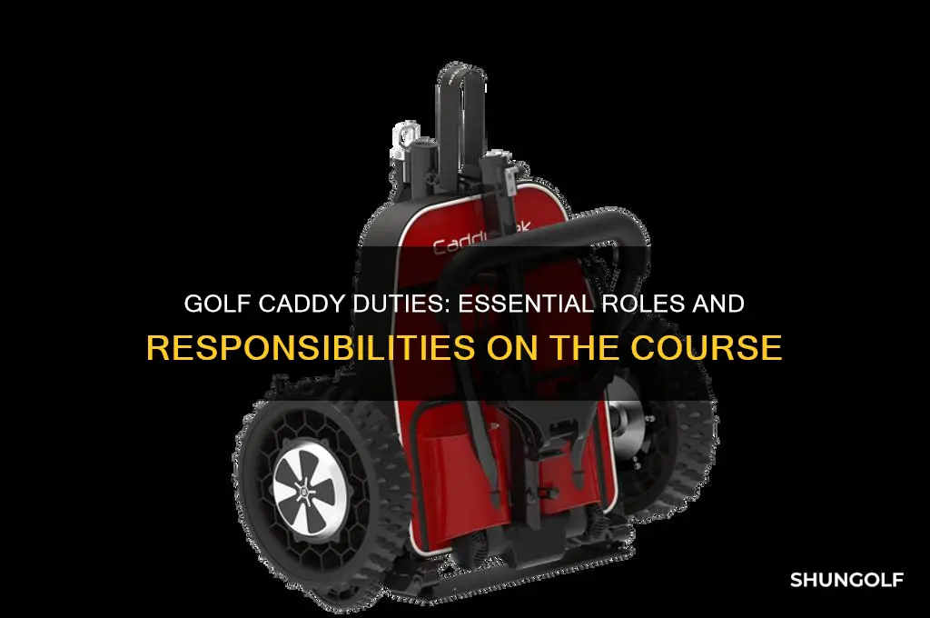 what does a golf caddy do at golf courses