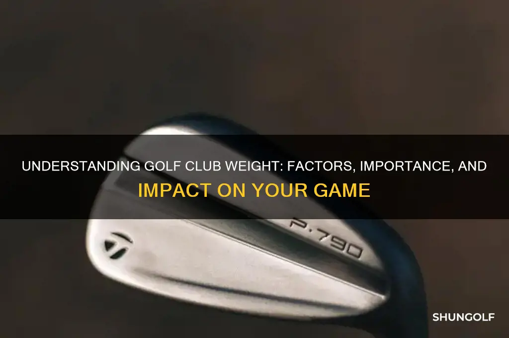 what does a golf club weigh
