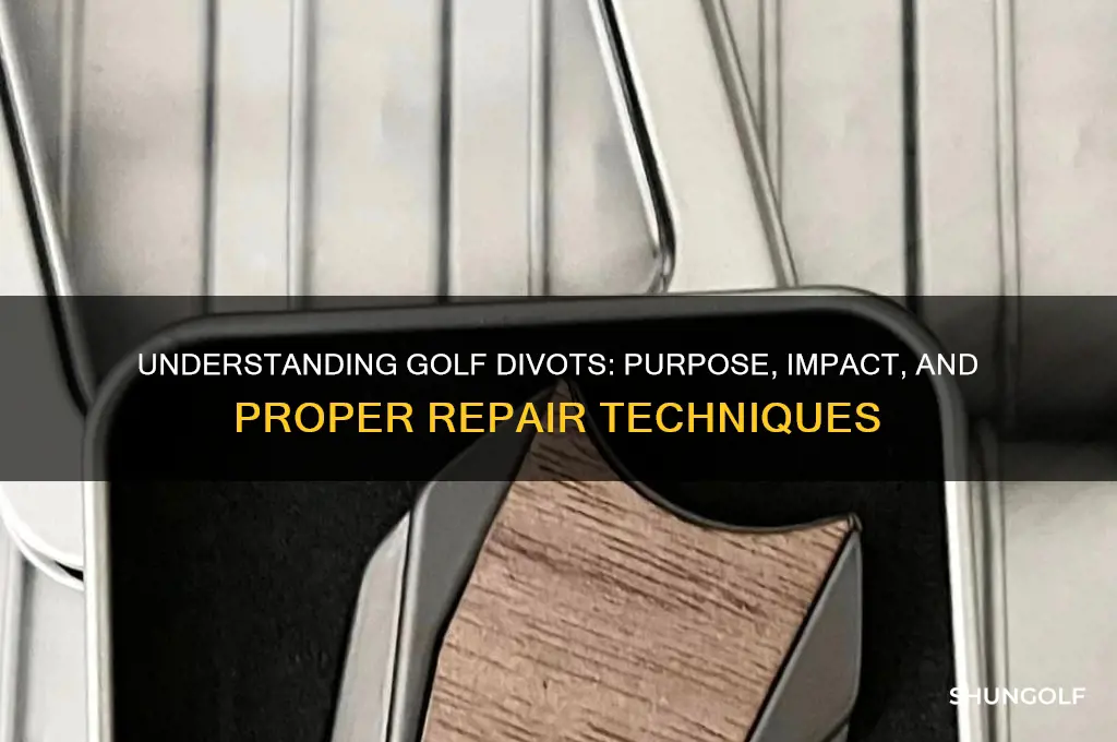 what does a golf divot do