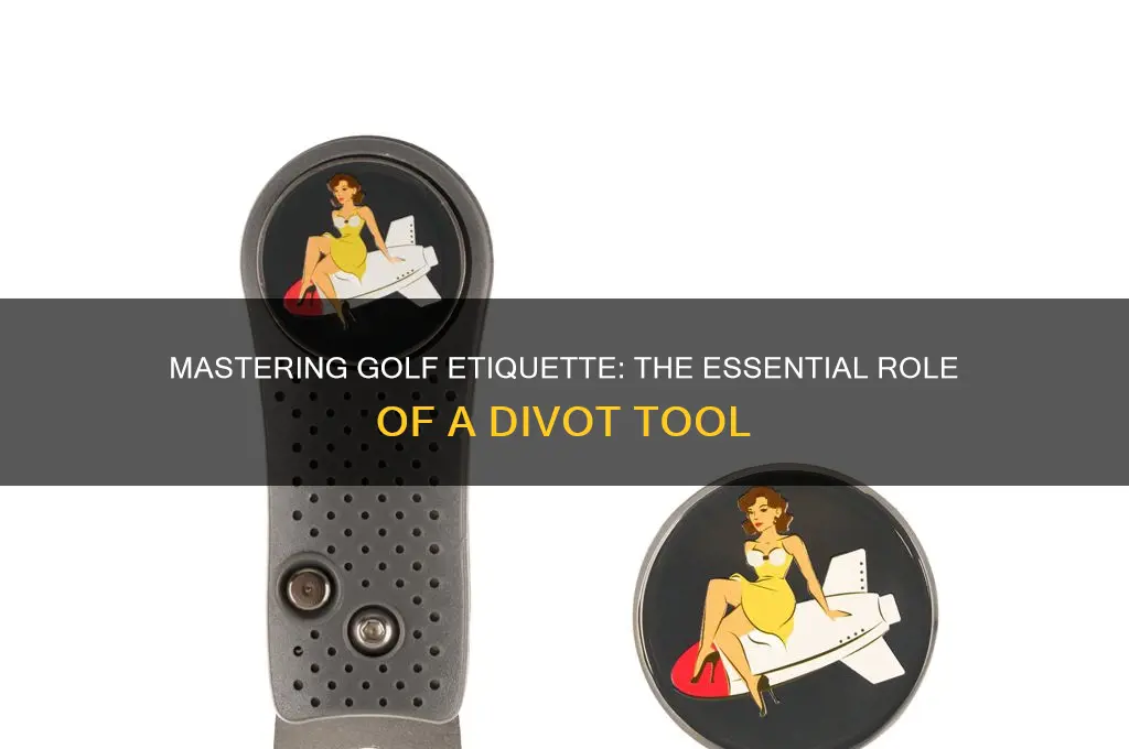 what does a golf divot tool do