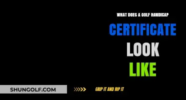 Understanding the Appearance of a Golf Handicap Certificate: A Visual Guide