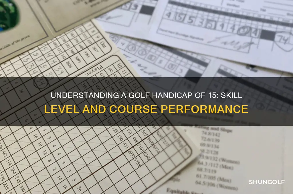 what does a golf handicap of 15 mean