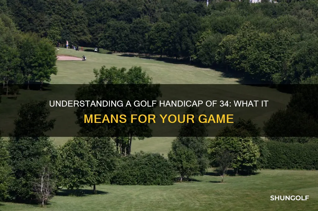 what does a golf handicap of 34 mean